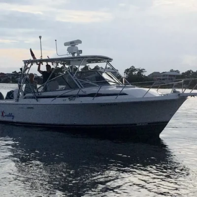 1996 Blackfin 29 Combi – NO RESERVE PRICE